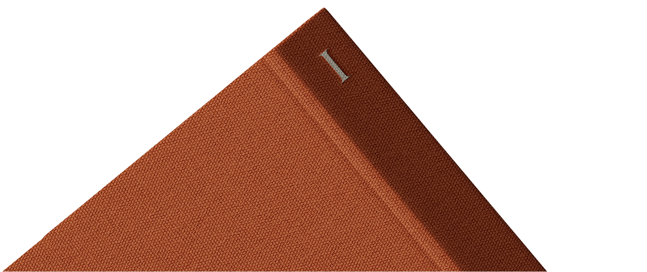 Reaclyse Journal Cover