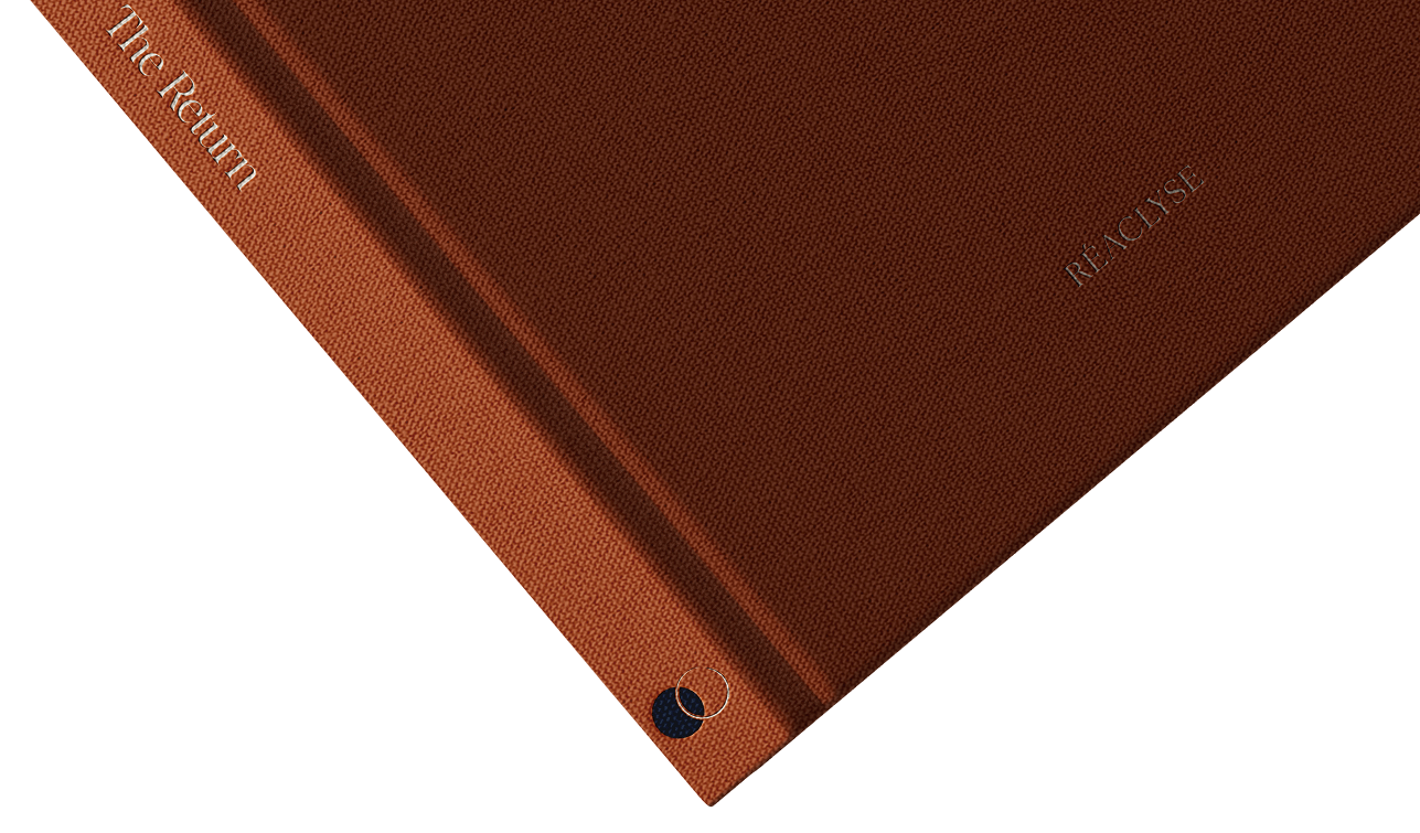 Reaclyse Journal Cover